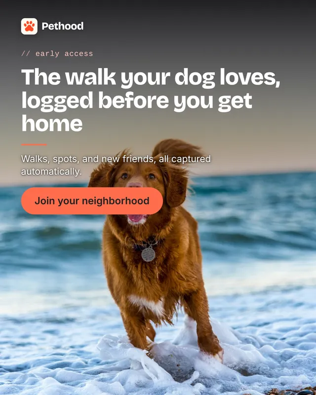 Pethood photo-led ad: The walk your dog loves, logged before you get home