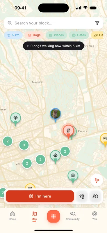 Raw screenshot: Pethood map screen and the 9:16 story ad headlined Your street mapped by every walk your neighbors have taken